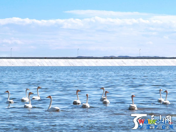 2015年1月14日,阿勒泰市污水處理廠冬季仍能正常運(yùn)行。