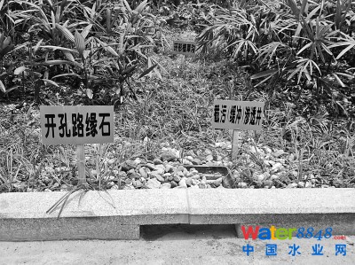 南寧市白沙大道滲水系統(tǒng)。 均為李家健攝