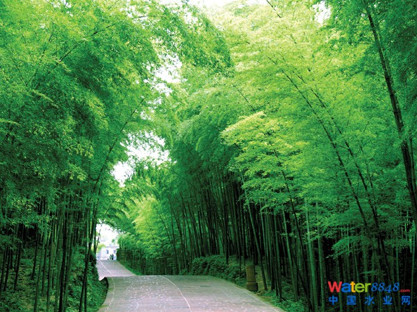 中國(guó)104座名山 - 曉慧 - 曉慧的博客
