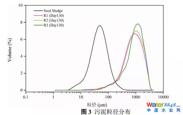 鐵離子對厭氧氨氧化污泥富集培養的影響