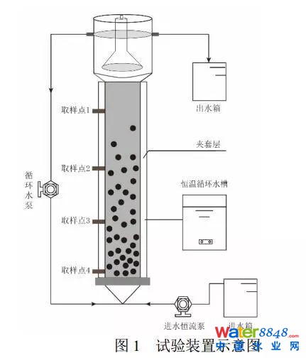 鐵離子對厭氧氨氧化污泥富集培養的影響