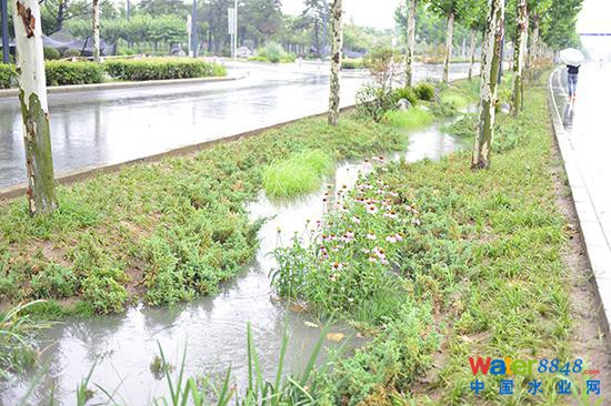 秦皇大道雨水收集系統。