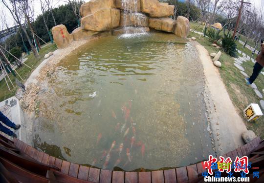 進行第二次處理后的水可以用于養魚、澆花。 王昊陽 攝 進行第二次處理后的水可以用于養魚、澆花。 王昊陽 攝