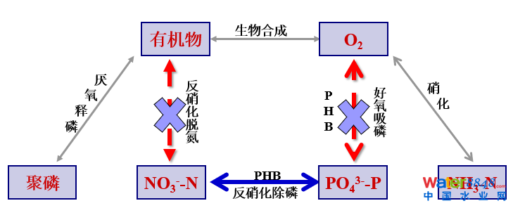 從幾個常見現象談污水處理廠設計和運行的精細化問題